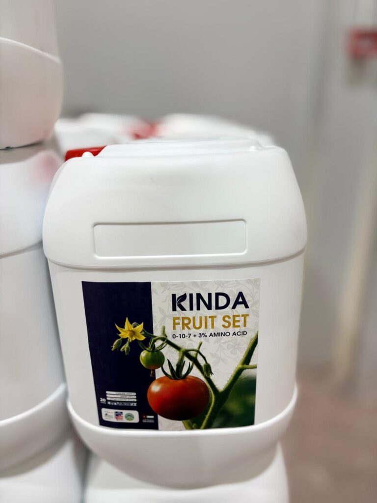 WhatsApp Image 2025-11-06 at 12.31.41 PM (1)