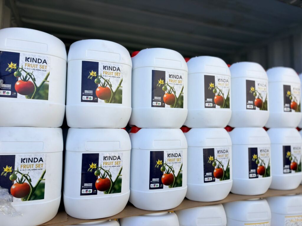 WhatsApp Image 2025-11-06 at 12.31.41 PM